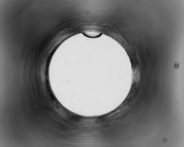X0000103420291200810241041