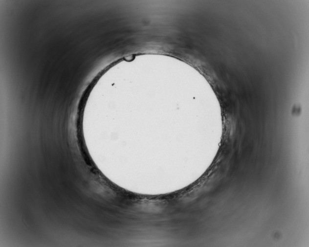 X0000103420292200810241041