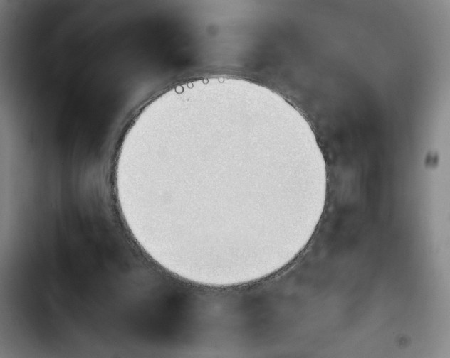X0000103420293200810241041