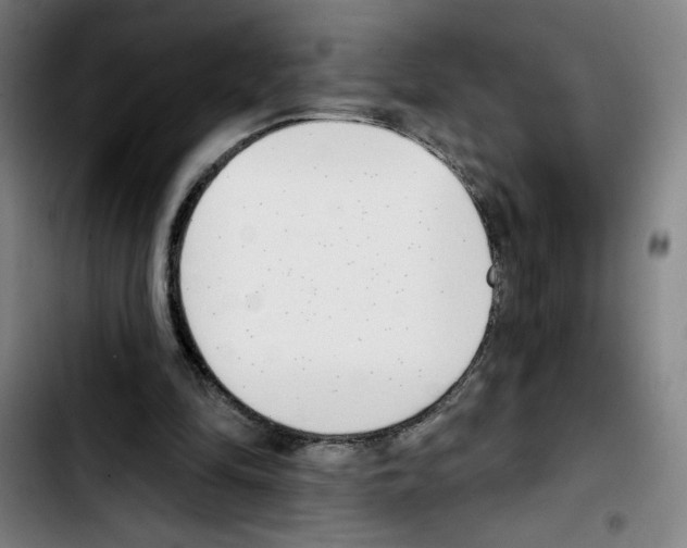 X0000103420294200810241041