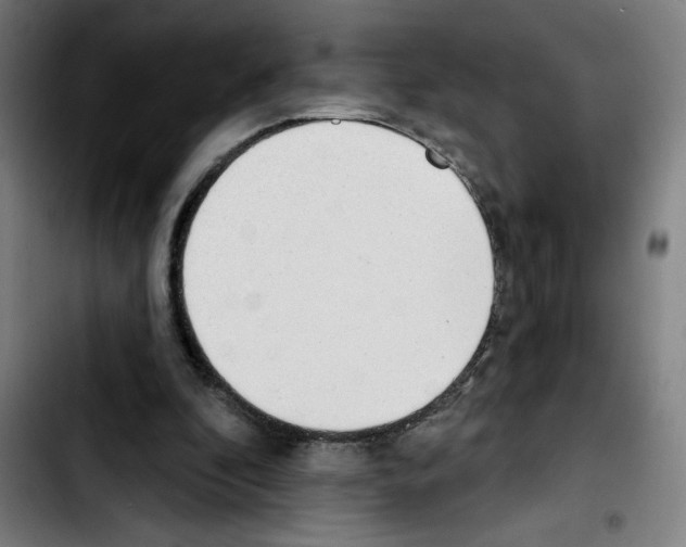 X0000103420296200810241041