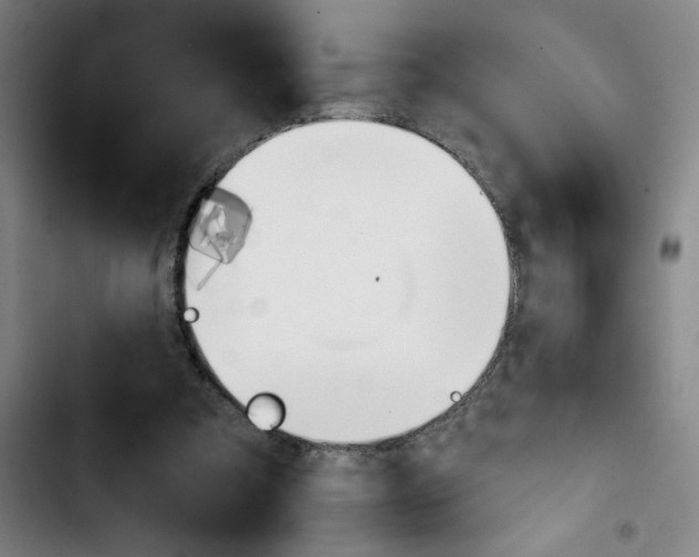 X0000103420297200810241041