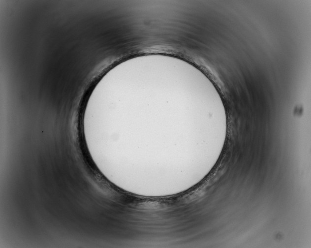 X0000103420298200810241041