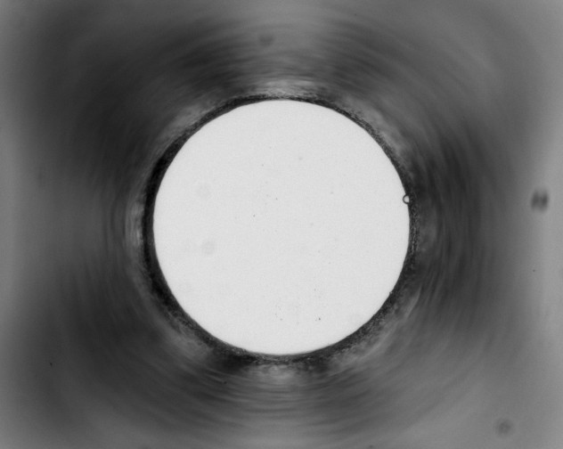 X0000103420299200810241041