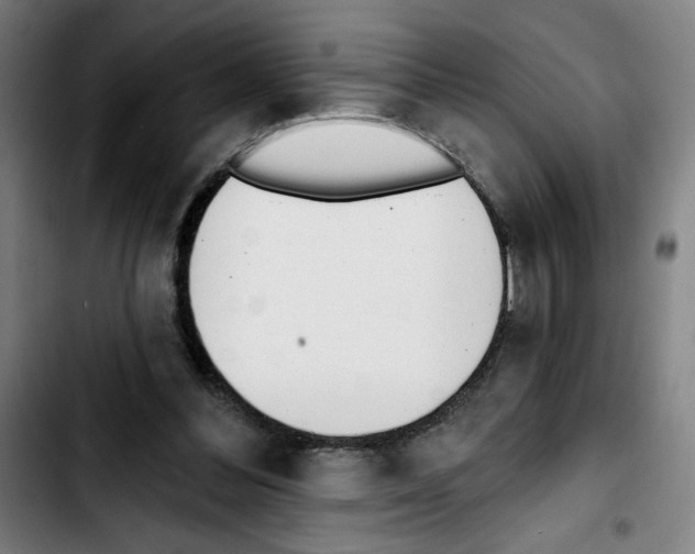 X0000103420300200810241041