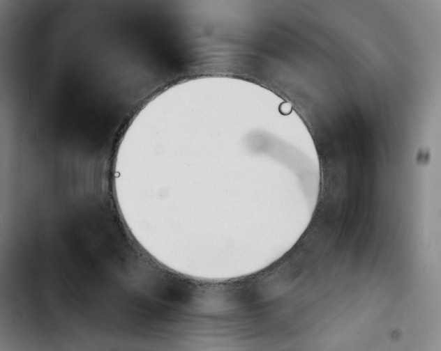 X0000103420301200810241041
