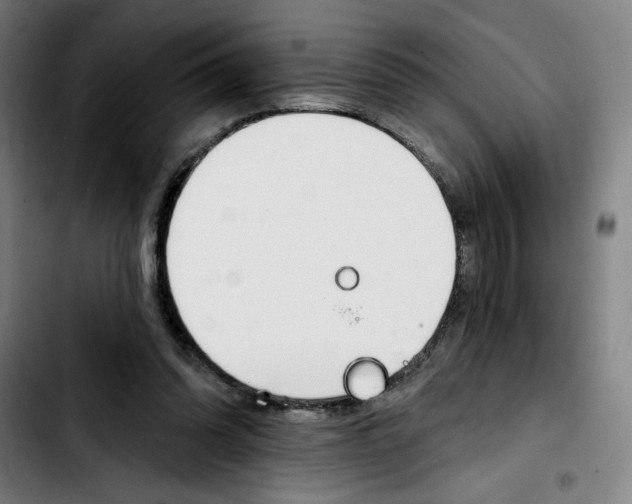 X0000103420302200810241041