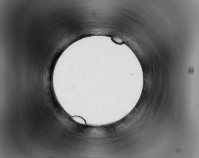 X0000103420303200810241041