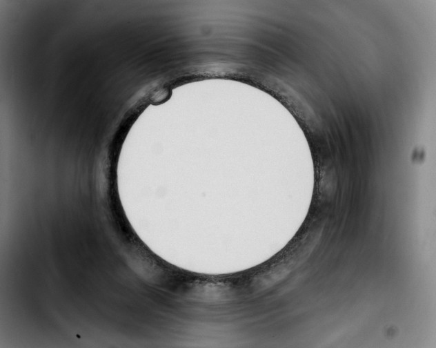 X0000103420304200810241041