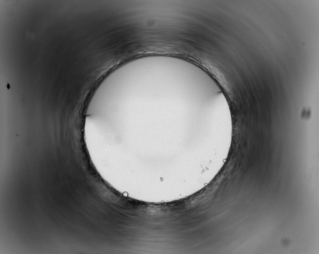 X0000103420305200810241041