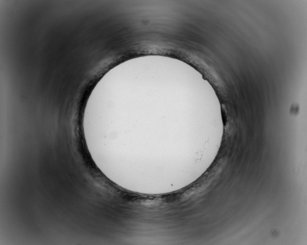 X0000103420306200810241041