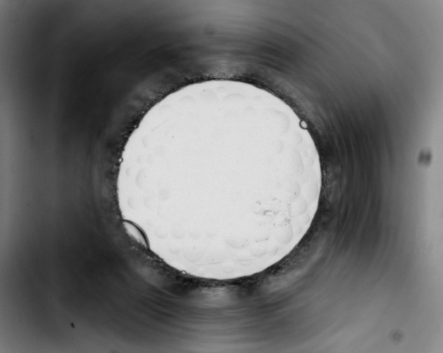 X0000103420307200810241041