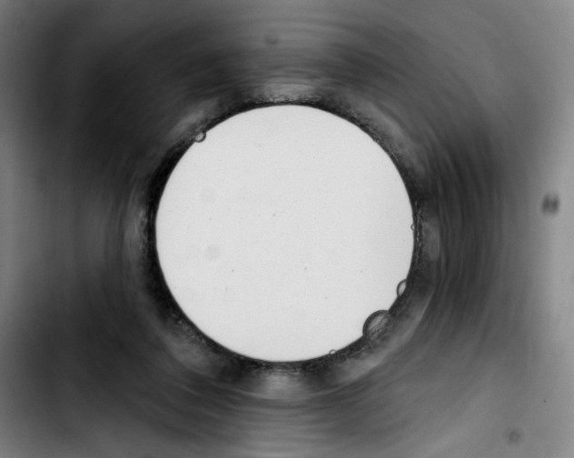 X0000103420308200810241041