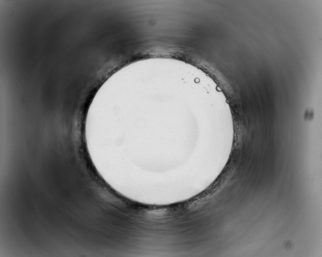 X0000103420309200810241041