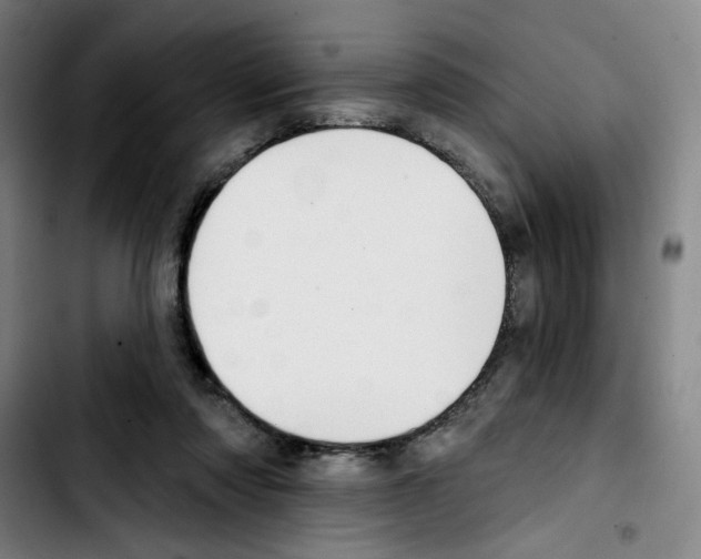 X0000103420310200810241041