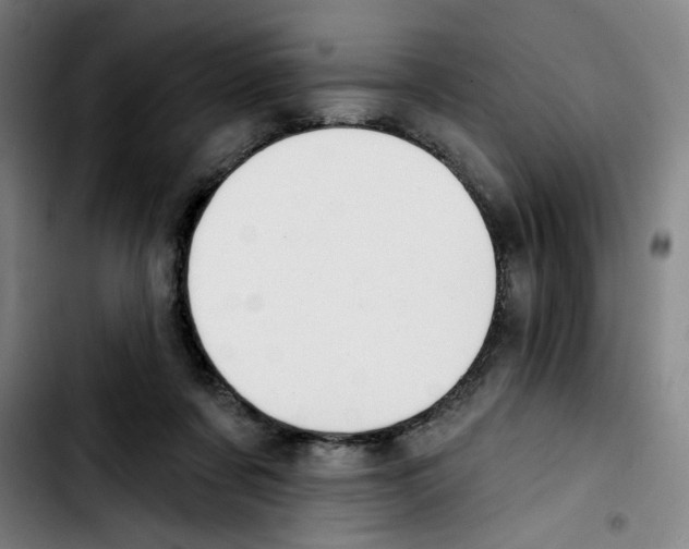 X0000103420311200810241041