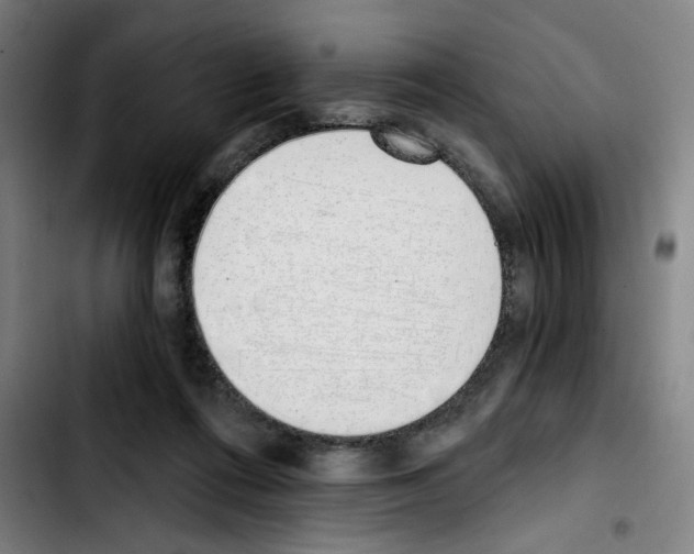 X0000103420312200810241041