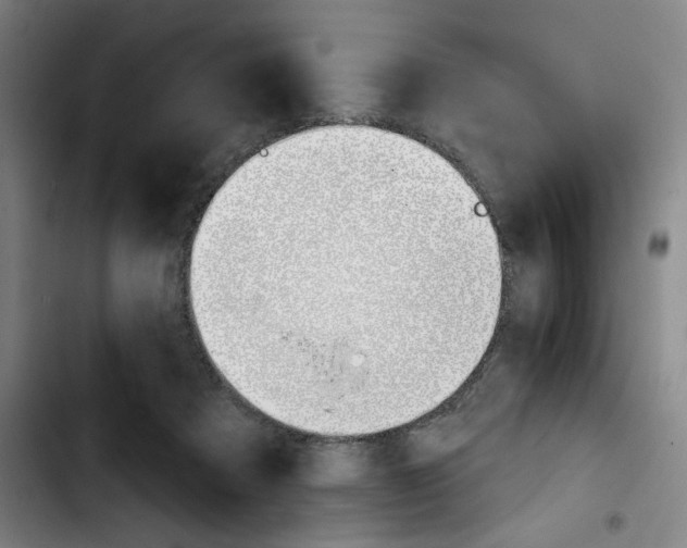 X0000103420313200810241041