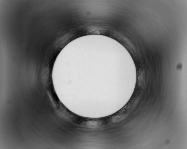 X0000103420314200810241041