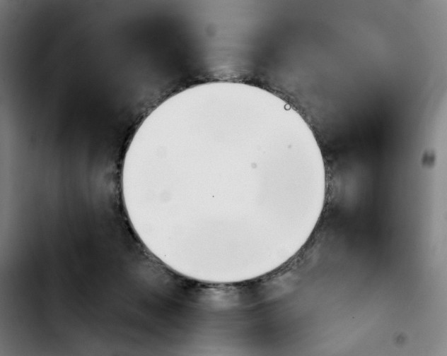 X0000103420317200810241040