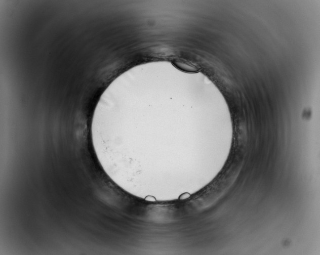 X0000103420320200810241040