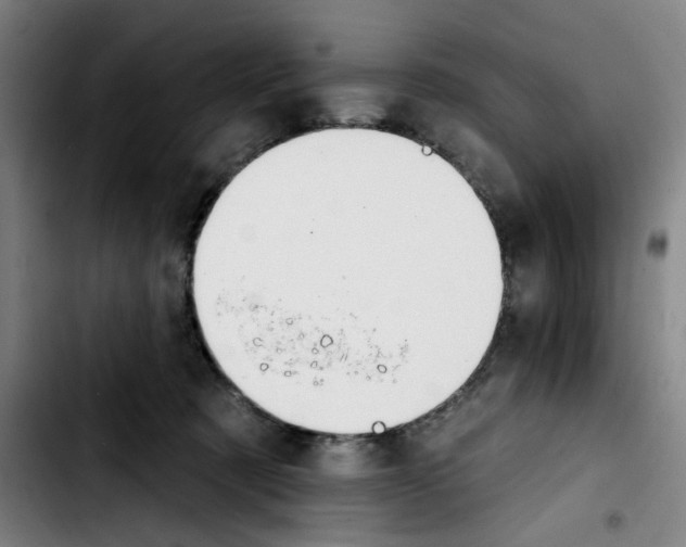 X0000103420321200810241040