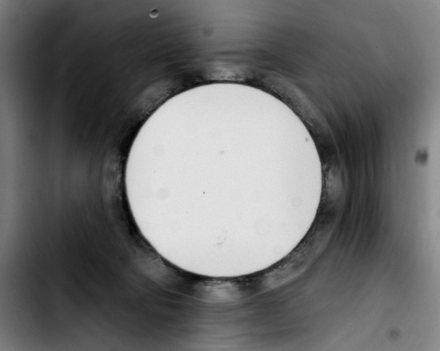 X0000103420322200810241040