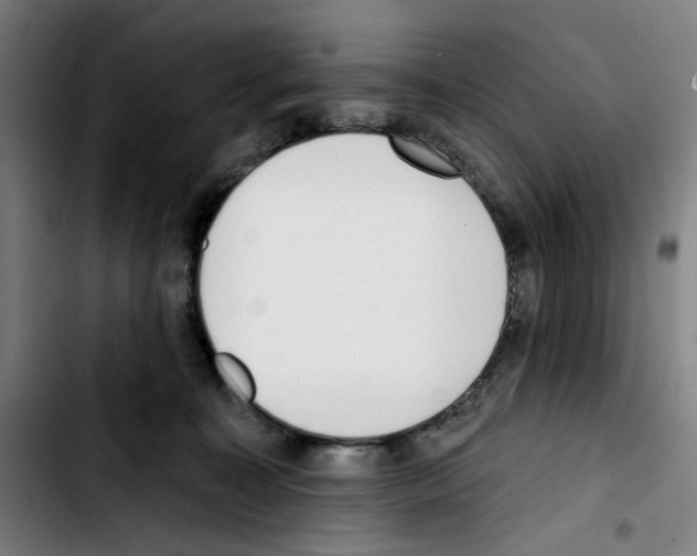 X0000103420323200810241040