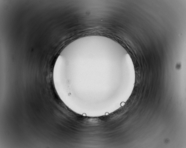 X0000103420324200810241040