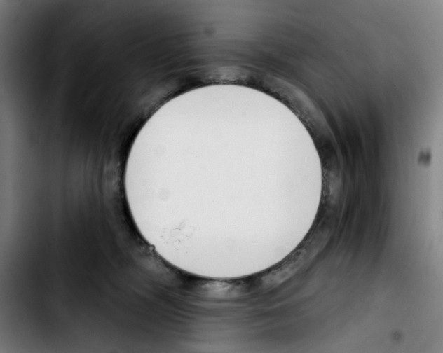 X0000103420326200810241040