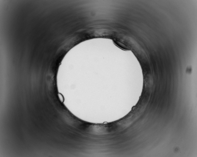 X0000103420327200810241040