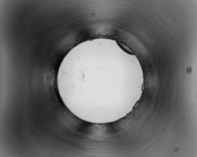 X0000103420328200810241040