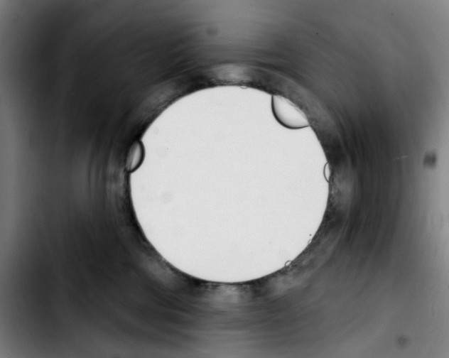 X0000103420330200810241040