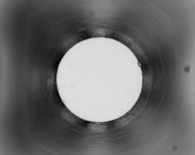X0000103420331200810241040