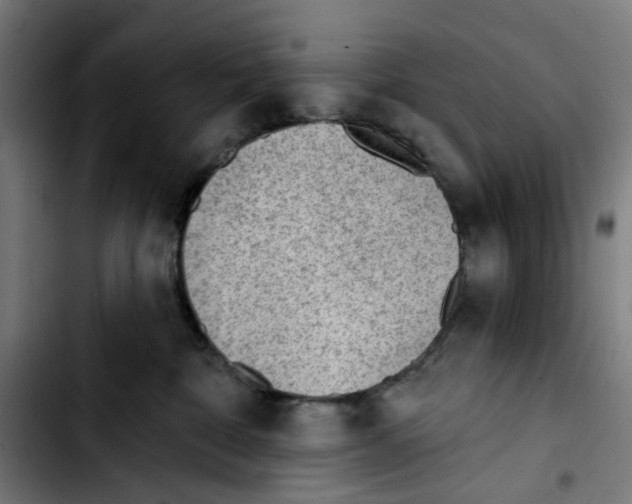 X0000103420332200810241040