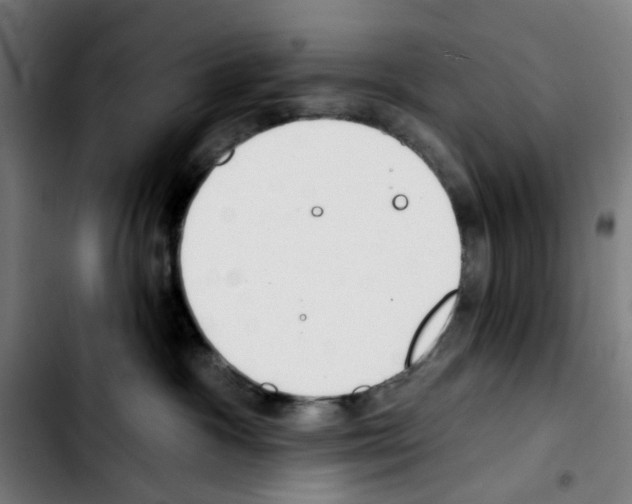 X0000103420333200810241040
