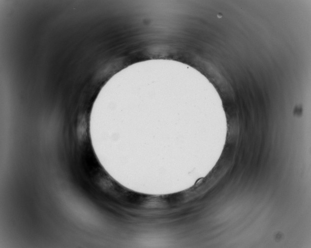 X0000103420335200810241040
