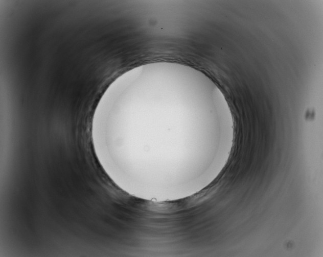 X0000103420336200810241040