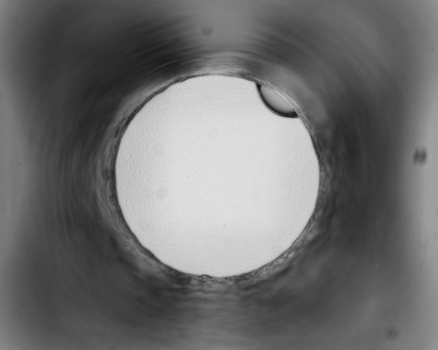 X0000103420337200810241039