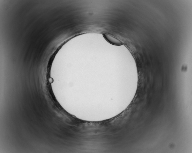 X0000103420338200810241039