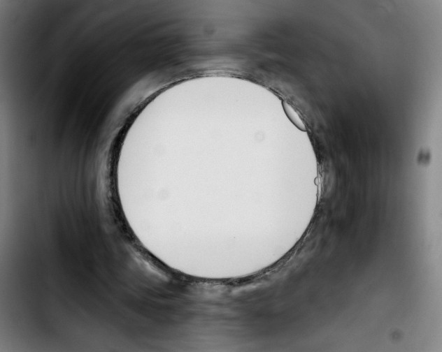 X0000103420339200810241039