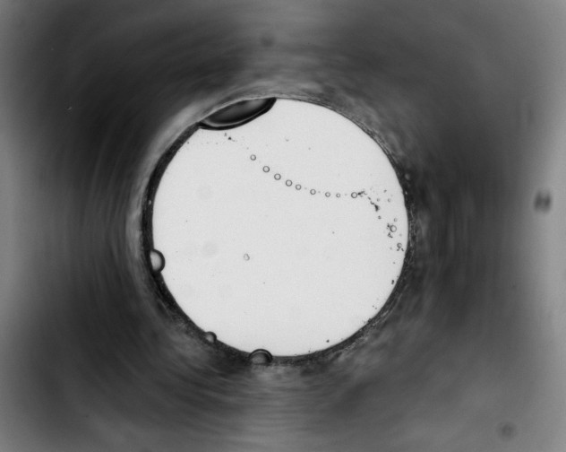 X0000103420340200810241039