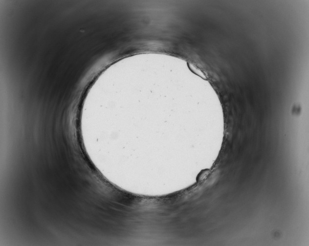 X0000103420341200810241039