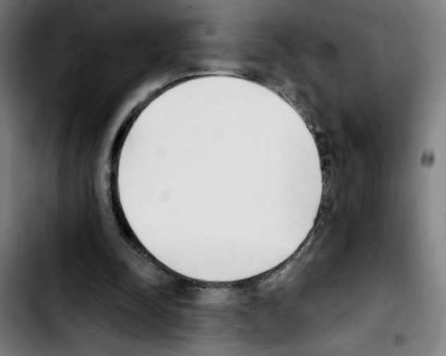 X0000103420342200810241039