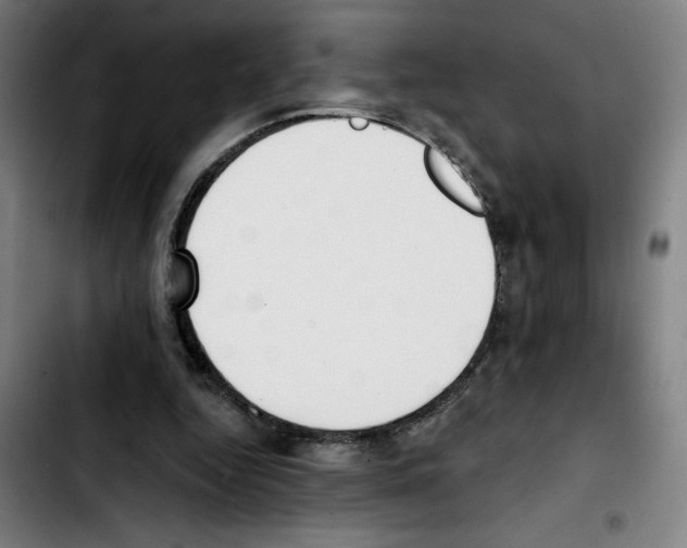 X0000103420344200810241039