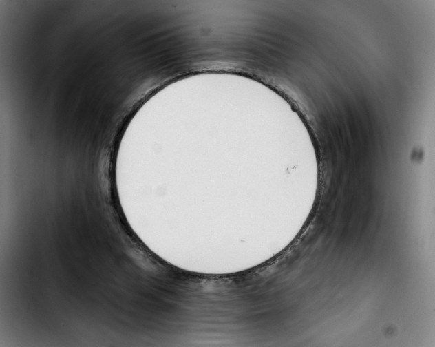 X0000103420345200810241039