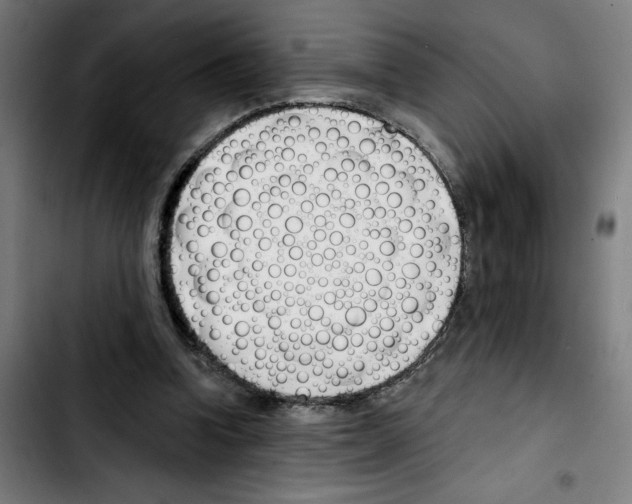 X0000103420346200810241039