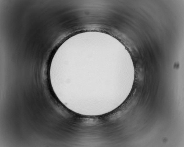 X0000103420347200810241039