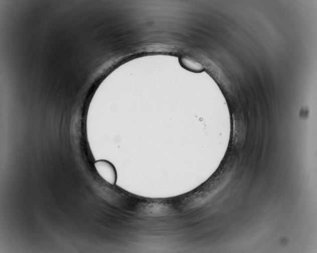 X0000103420348200810241040