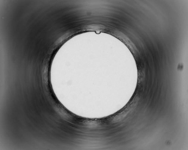 X0000103420349200810241040